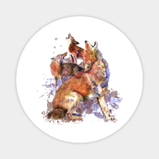 Watercolor Howling Coyote Animal Art Magnet